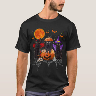 zwarte kat halloween, zwarte kat zittend op pompoe t-shirt