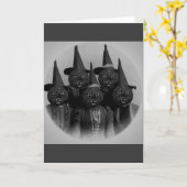 Zwarte kat/Heksen uit grootmoeders tijd Kaart (Gele Bloem)