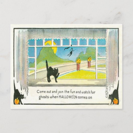 Zwarte kat heksenvenster Jack O lantaarn pompoen m Briefkaart (Voorkant)