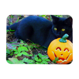 Zwarte kat Herfst fotomagneet Magneet