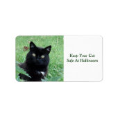 Zwarte kat - Houd uw kat veilig op het etiket (Voorkant)