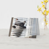 Zwarte kat in blinds denken aan je kaart (Gele Bloem)
