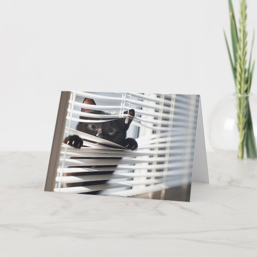 Zwarte kat in blinds denken aan je kaart (Voorkant)