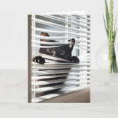 Zwarte kat in blinds voor verjaardag kaart (Voorkant)