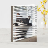 Zwarte kat in blinds voor verjaardag kaart (Gele Bloem)