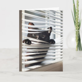 Zwarte kat in blinds voor verjaardag kaart