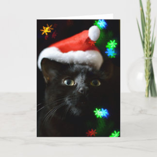 Zwarte kat in de kersttijd feestdagen kaart