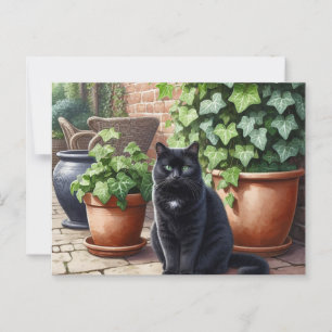 Zwarte kat in de tuin Kattenliefhebbers Briefkaart