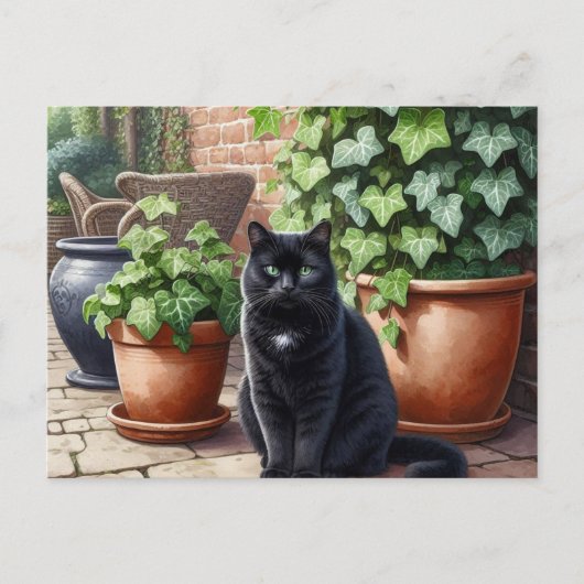 Zwarte kat in de tuin Kattenliefhebbers Briefkaart (Voorkant)