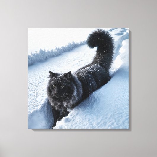 Zwarte kat in diepe sneeuw canvas afdruk (Voorkant)