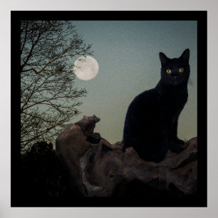 Zwarte kat in een boom voor een volle maan poster