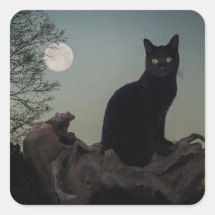 Zwarte kat in een boom voor een volle maan vierkante sticker