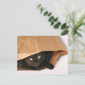Zwarte kat in een briefkaart (Staand voorkant)