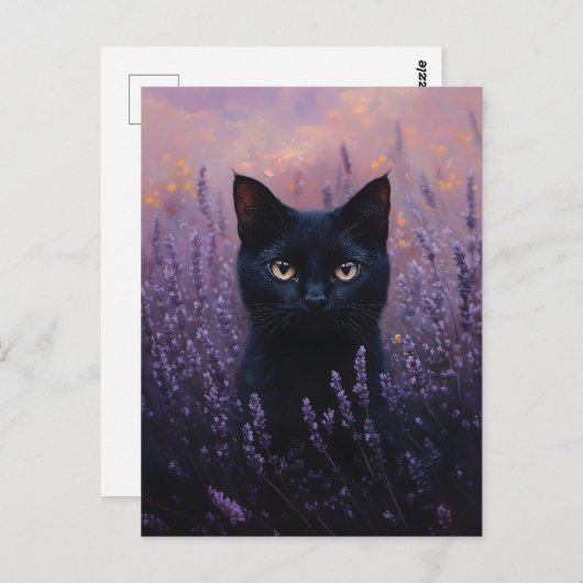 Zwarte kat in een lavendelveld illustratie briefkaart (Voorkant / Achterkant)