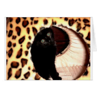 Zwarte kat in een luipaard