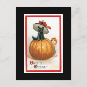 Zwarte kat in een Pet Halloween Briefkaart