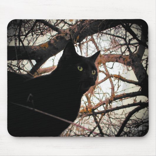 Zwarte kat in een spookstructuur muismat (Voorkant)