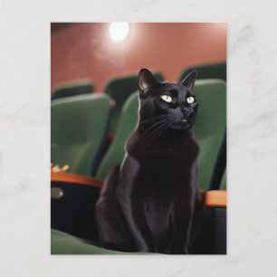 Zwarte Kat in een Theater Briefkaart