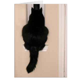 Zwarte kat in een vaag raam