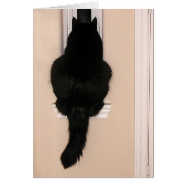 Zwarte kat in een vaag raam (Voorkant)