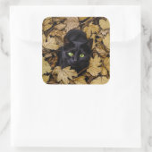 Zwarte kat in herfstbladeren vierkante sticker (Tas)