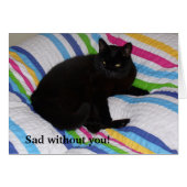 Zwarte kat in het bed (Voorkant Horizontaal)