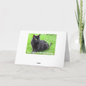 Zwarte kat in het gras Verjaardag Kaart (Achterkant)