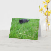 Zwarte kat in het gras Verjaardag Kaart (Gele Bloem)