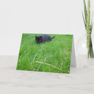 Zwarte kat in het gras Verjaardag Kaart
