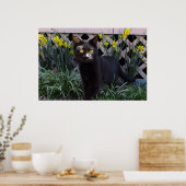 Zwarte kat in het Poster Daffodils (Keuken)