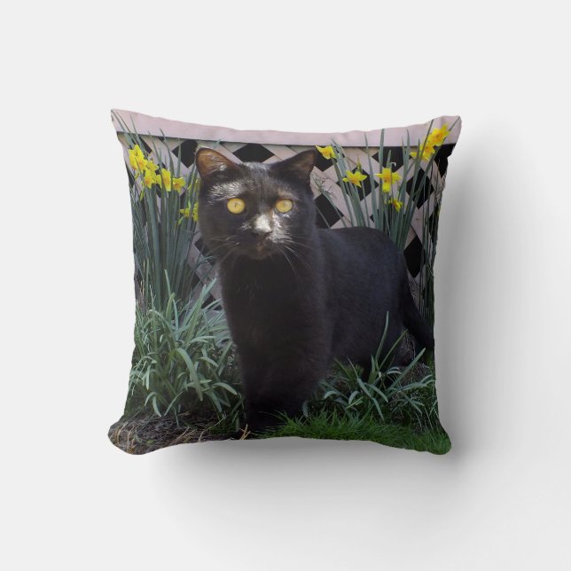 Zwarte kat in het Sierkussen Daffodils (Voorkant)