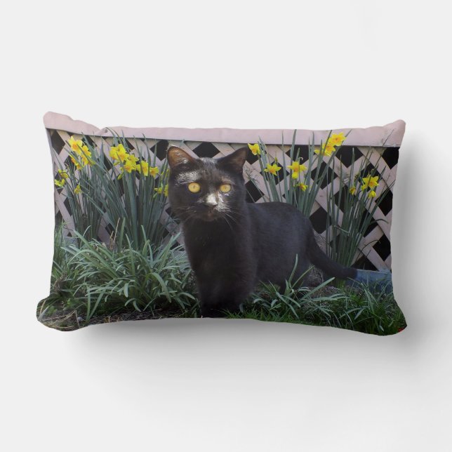 Zwarte kat in het Sierkussen Daffodils Kussen (Voorkant)