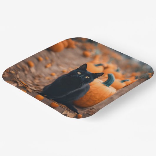 Zwarte kat in pompoen papieren bordje (Gebogen)