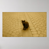 Zwarte kat in Sepia Poster (Voorkant)