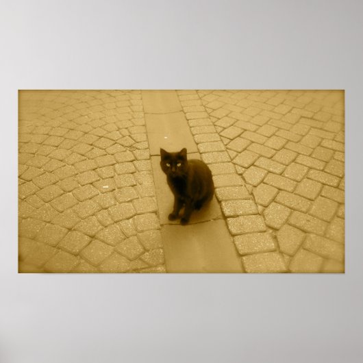Zwarte kat in Sepia Poster (Voorkant)