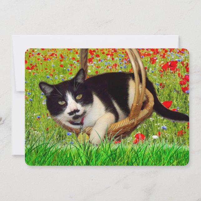 Zwarte kat in smoking kaart (Voorkant)