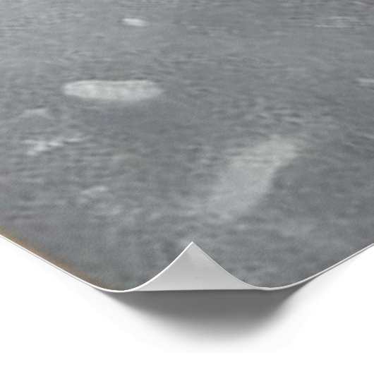 Zwarte kat in sneeuw poster (Hoek)