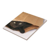 Zwarte kat in tas tegeltje (Zijkant)