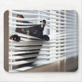Zwarte kat in witte blinds muismat (Voorkant)