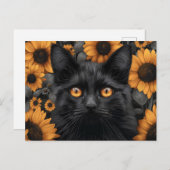 Zwarte Kat in Zonnebloemengebied Briefkaart (Voorkant / Achterkant)
