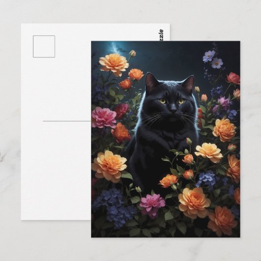 zwarte kat in zwarte nacht briefkaart (Voorkant / Achterkant)
