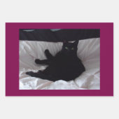 Zwarte kat inpakpapier plat set van 3 vellen (Voorkant)