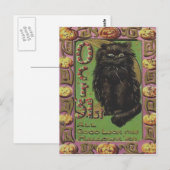 Zwarte kat Jack O lantaarn pompoen Briefkaart (Voorkant / Achterkant)