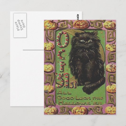 Zwarte kat Jack O lantaarn pompoen Briefkaart (Voorkant / Achterkant)
