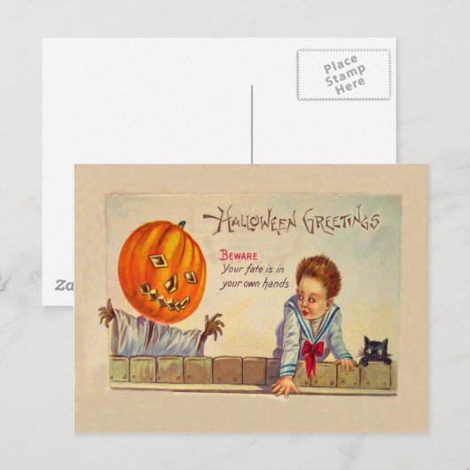 Zwarte kat Jack O Lanter pompoen vogelverschrikker Briefkaart (Voorkant / Achterkant)