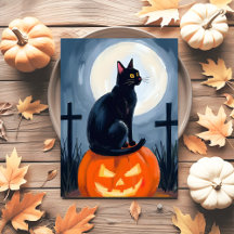 Zwarte kat Jack-O-Lantern Halloween geschilderd