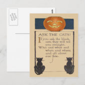 Zwarte Kat Jack O' Lantern Pompoen Briefkaart (Voorkant / Achterkant)