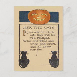 Zwarte Kat Jack O' Lantern Pompoen Briefkaart