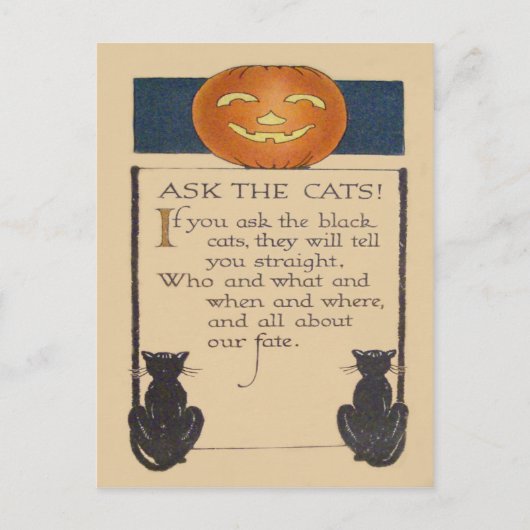 Zwarte Kat Jack O' Lantern Pompoen Briefkaart (Voorkant)