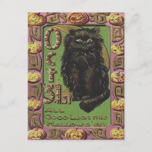 Zwarte Kat Jack O Lantern Pompoen Briefkaart (Voorkant)